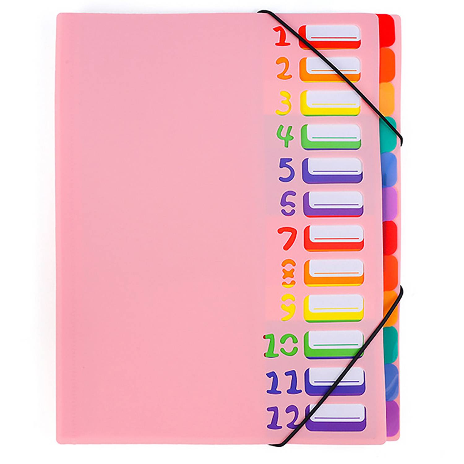 12 Pockets Plastic Expanding File Folder 16