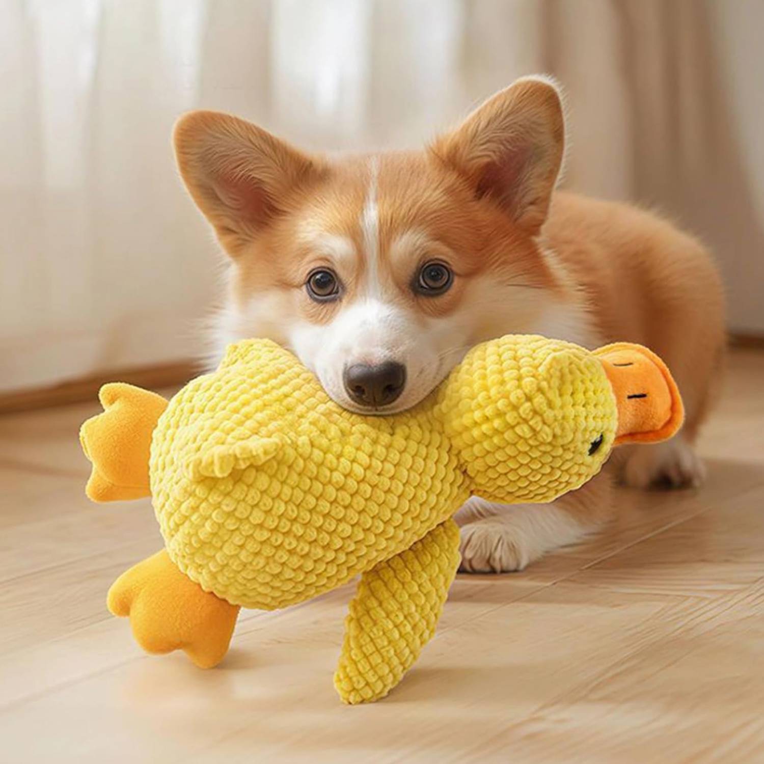 Pet Plush Duck Squeaker Stuffed Toy 3