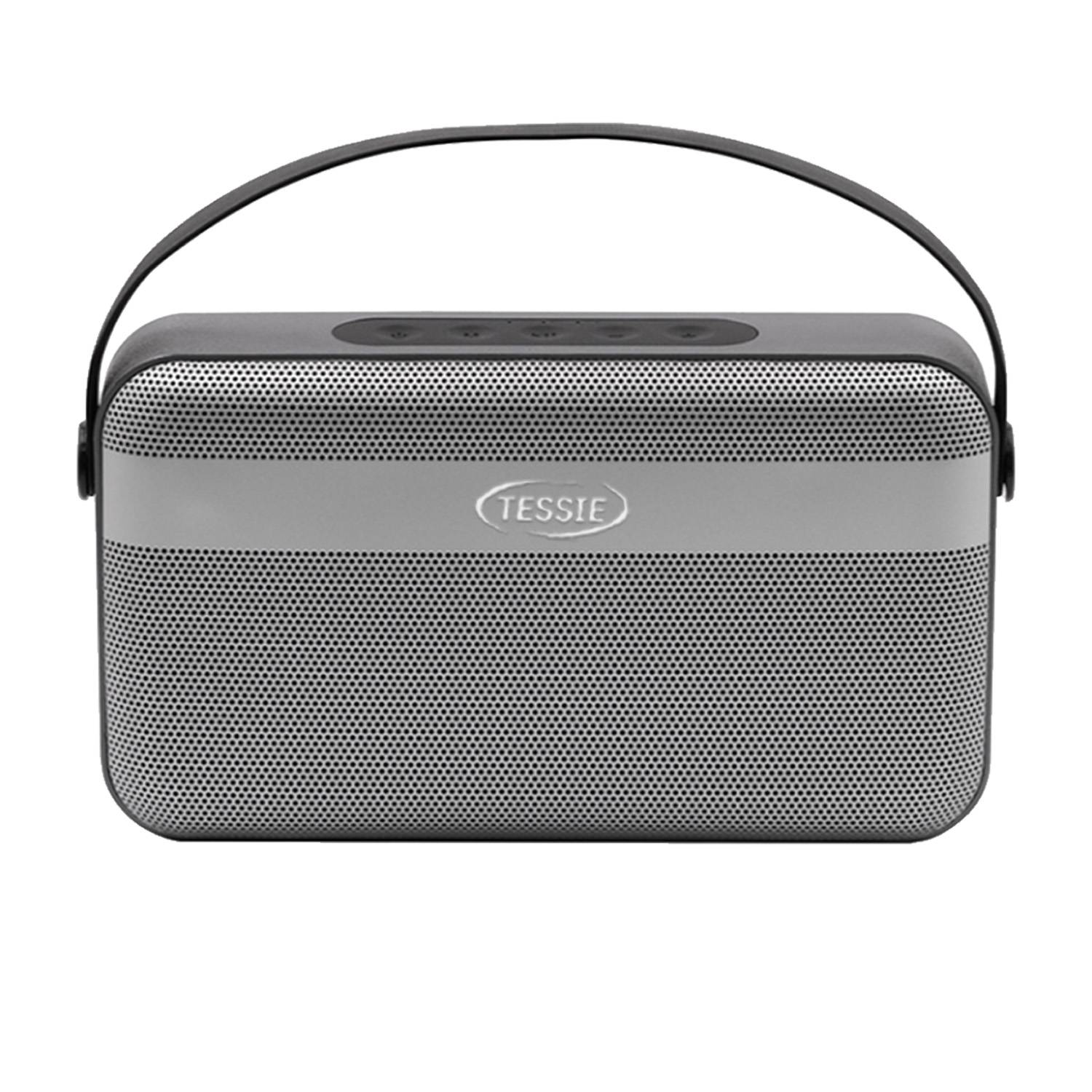Eco-Friendly Wireless Speaker with Handle