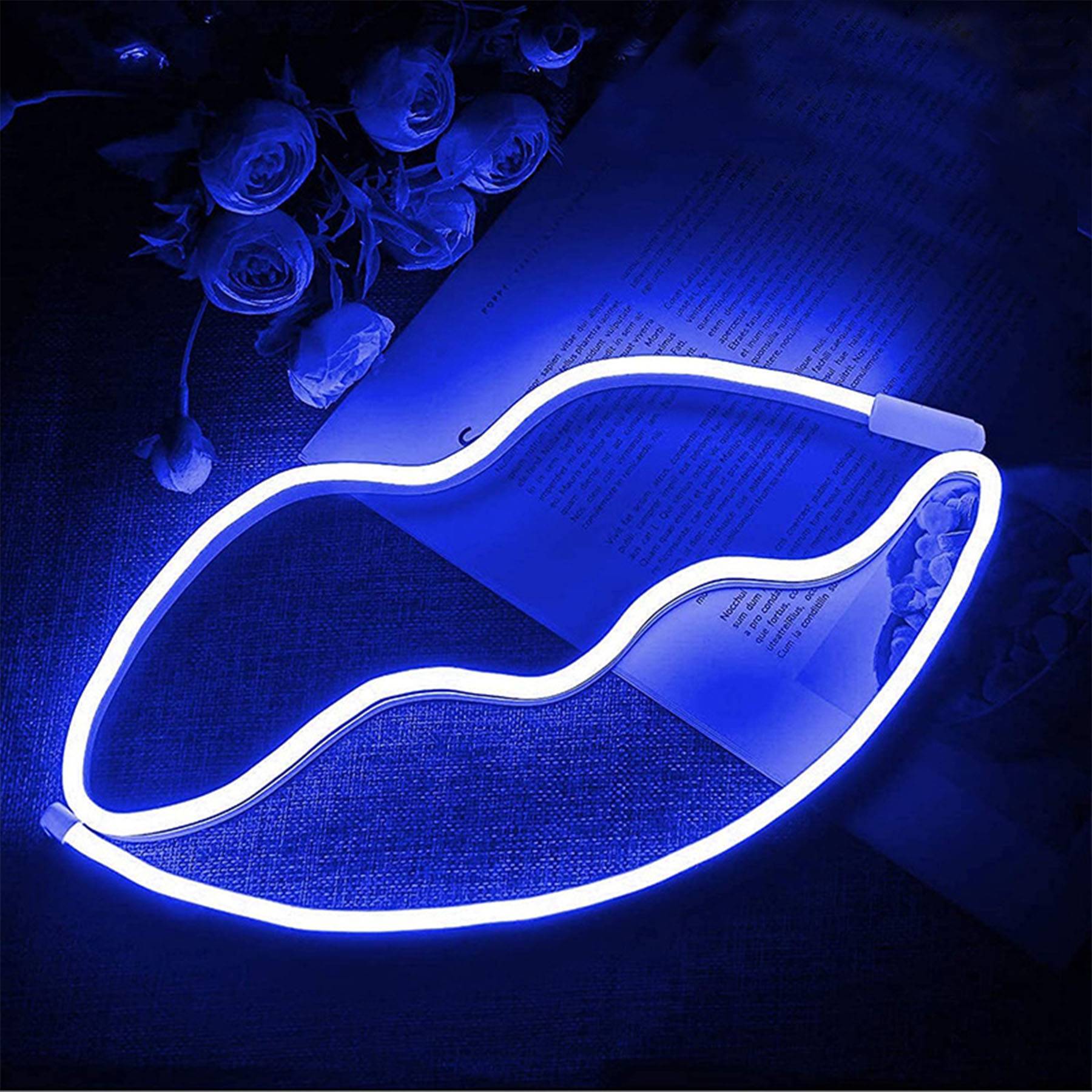 12V silicone outdoor neon 2