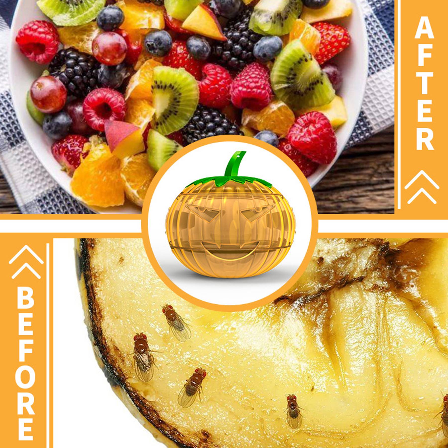 Pumpkin Shaped Flying Bug Traps 2