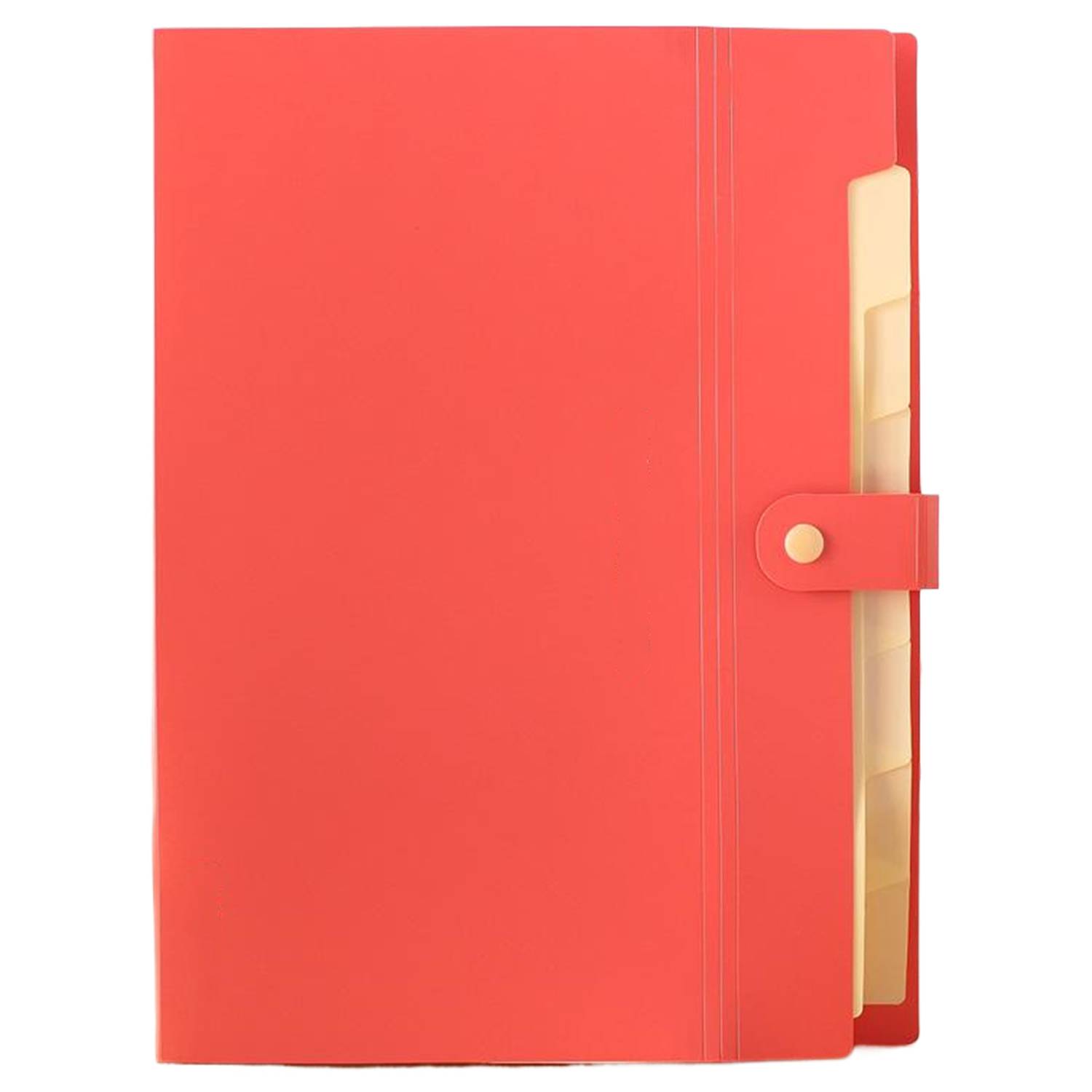 Expanding Accordion File Folders w/ Snap Closure 1