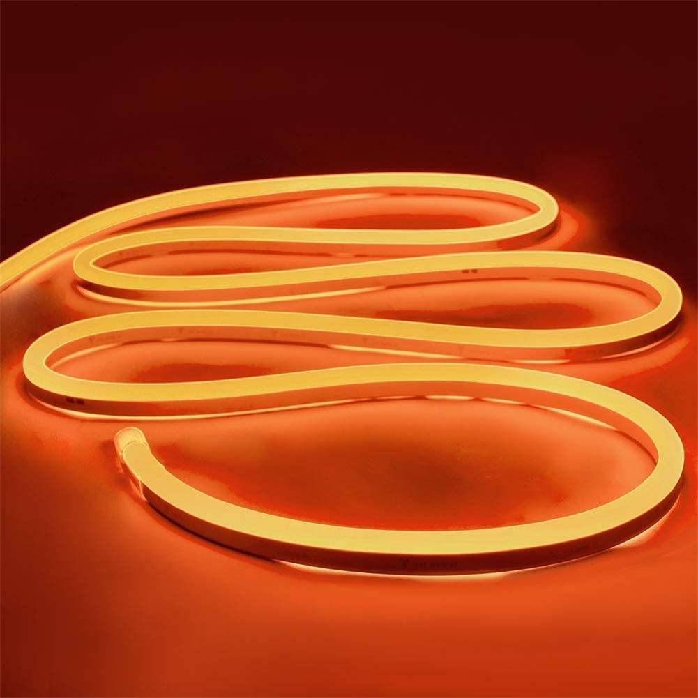 12V silicone outdoor neon 5