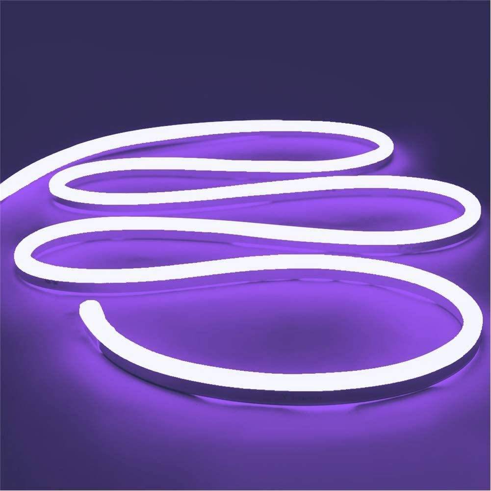 12V silicone outdoor neon 6