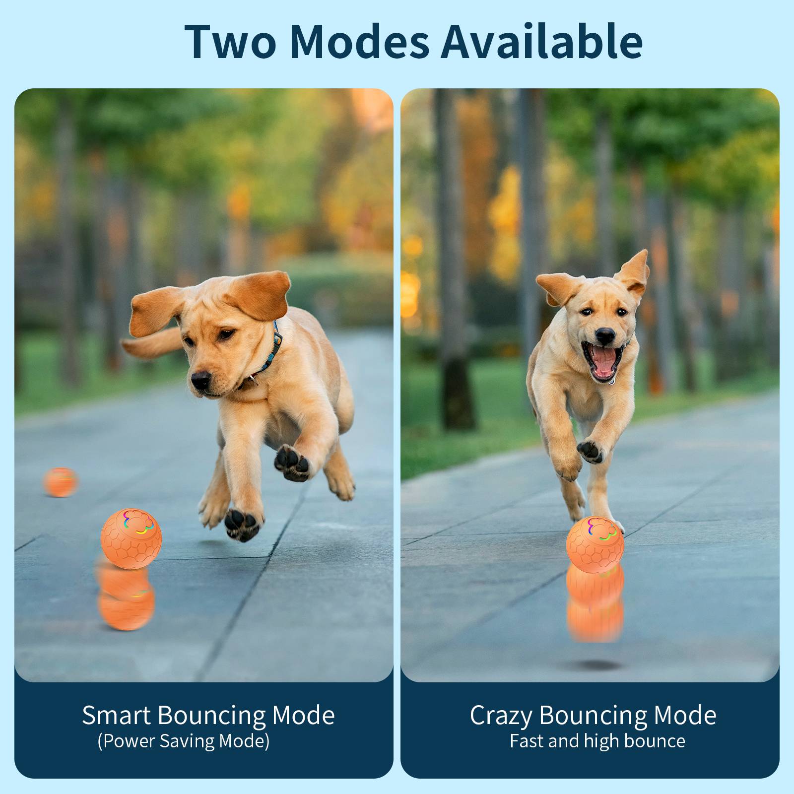 Pets Smart Interactive Jumping Ball Toy 3